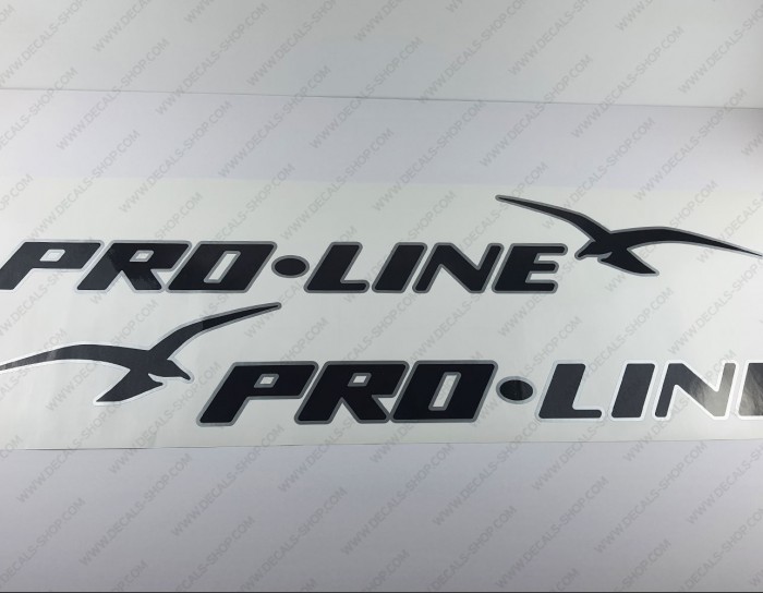 Pro Line Boat Logo Silver Decal Set of 2 x 40"